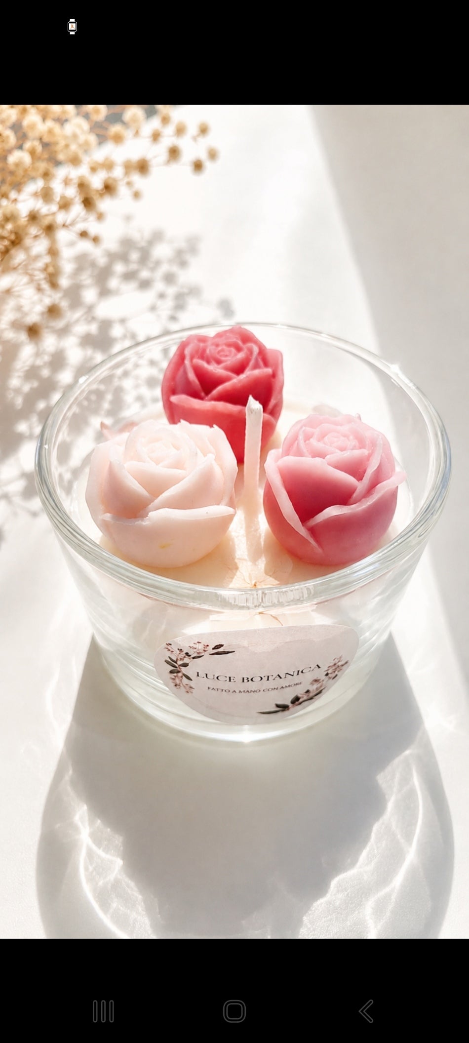 Candele Rose
